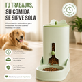 PetFlow tu mascota bien alimentada, incluso cuando no estas