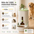 PetFlow tu mascota bien alimentada, incluso cuando no estas