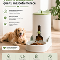 PetFlow tu mascota bien alimentada, incluso cuando no estas